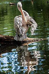 外挂肆虐 《星球大战：前线2》起死回生受阻